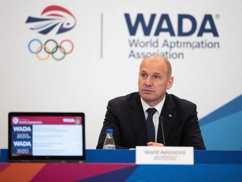 欧战资格的 欧战资格的