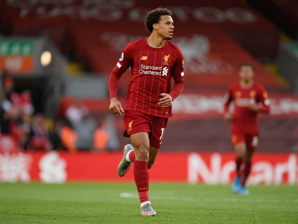 实的球迷参 实的球迷参